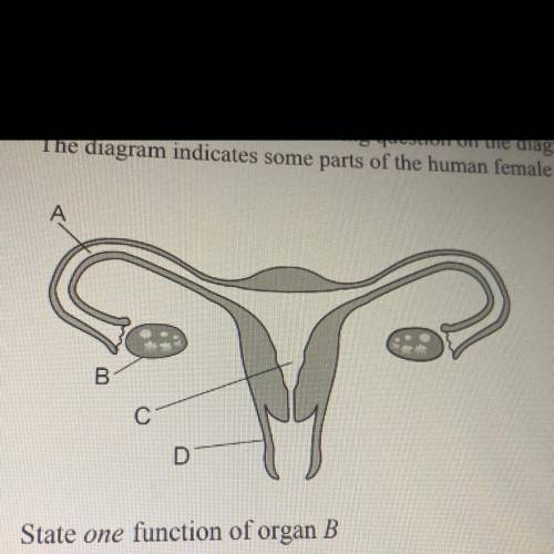 Base your answer to the following question on the diagram below and on your knowledge of biology.