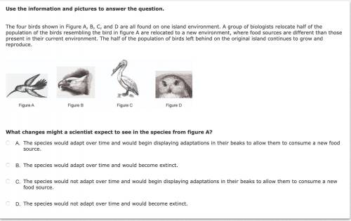 Ill give brainliest! pls answer and show work, and give explanation just show a little explanation