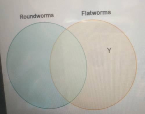 Katrina drew a diagram to compare roundworms and flatworms.

Which label belongs in the area marke