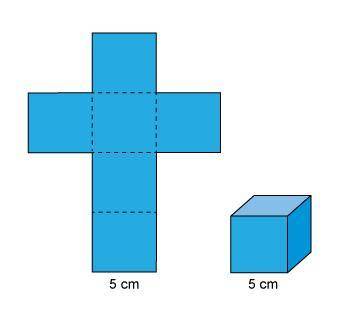 GET THIS WRONG AND REPORTING U

This is a picture of a cube and the net for the cube.
What i