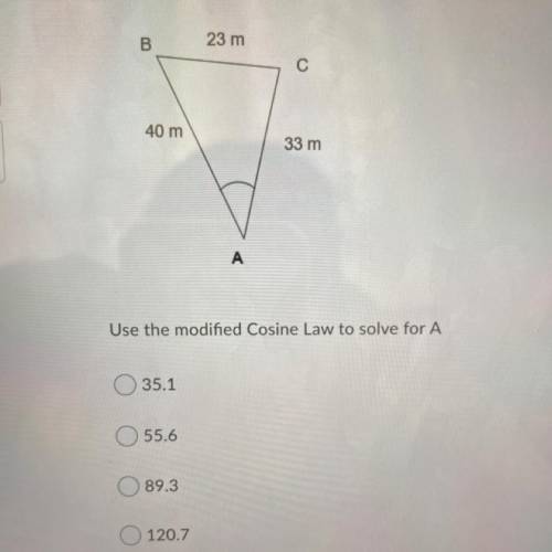 Help please for this question!