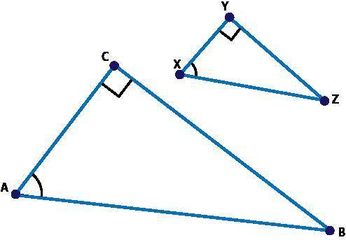 Pls help

Triangle XYZ was dilated by a scale factor of 2 to create triangle ACB and tan ∠X = 5 ov
