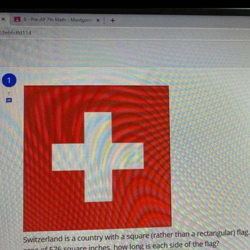 +

Switzerland is a country with a square (rather than a rectangular) flag. If the country's offic