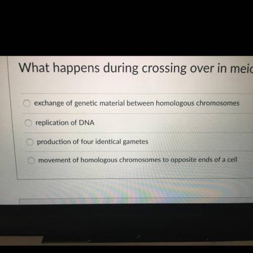 What happens during crossing over in meiosis?