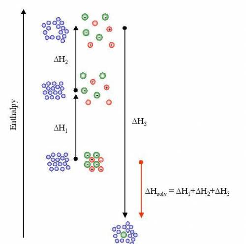 In the solvation of a salt, the following enthalpy changes were observed:

What force contributed