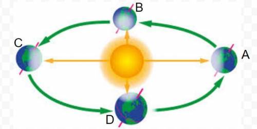 When Earth is in position A, what season is it in the Northern hemisphere?

How do you know? 
Wh