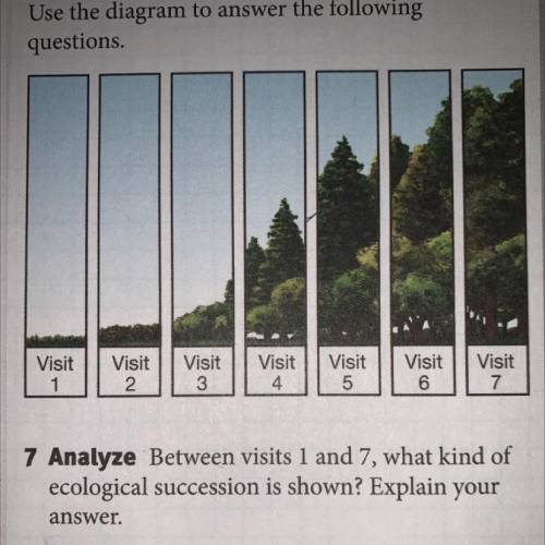 HELP PLEASE!!

Between visits 1 and 7, what kind of ecological succession is shown? Explain your a