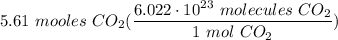 \displaystyle 5.61 \ mooles \ CO_2(\frac{6.022 \cdot 10^{23} \ molecules \ CO_2}{1 \ mol \ CO_2})