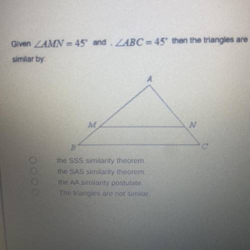 How are the triangles similar PLEASE HELP.