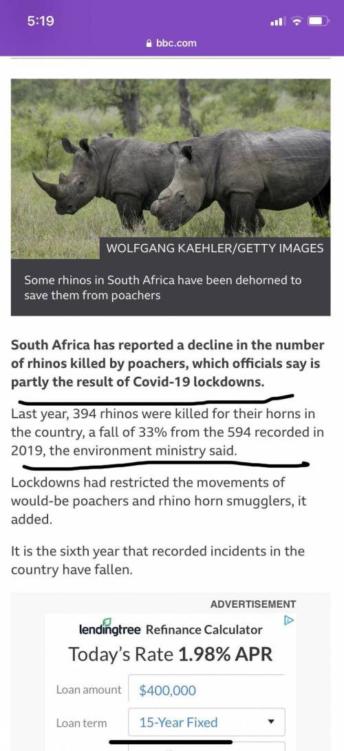 Rhinoceros are killed every year for their​