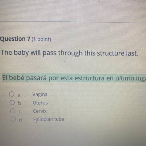 The baby will pass through what structure last? A.vagina, B.uterus, C.cervix, D. Fallopian Tube.