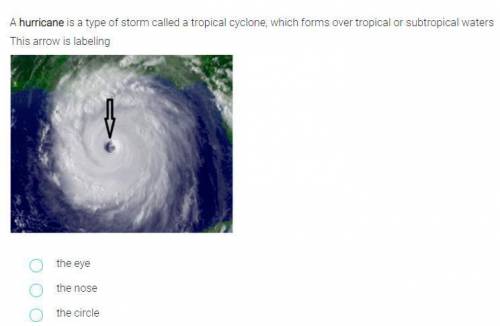 A hurricane is a type of storm called a tropical cyclone