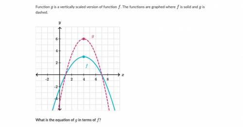 Function g is a vertically scaled version of function f. The functions are graphed where f is solid