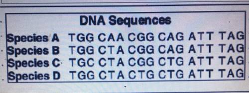 Looking at the DNA sequences of the 4 different species shows what about the DNA of all organisms ?