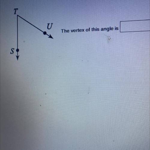 What is the vertex angle
