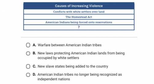 Indian american and The U.S conflicts