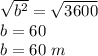 \sqrt {b^2}= \sqrt {3600}\\b=60 \\b= 60 \ m