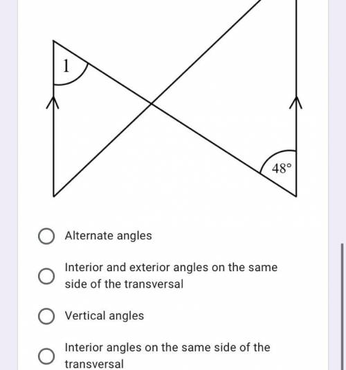Which one is the reason that make angle 1 equal 48 degrees?