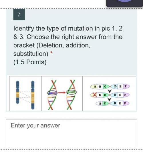 Identify the type of mutation in pic 1, 2 and 3 choose the right answer from the bracket (deletion,