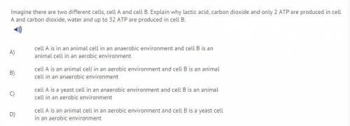 Imagine there are two different cells, cell A and cell B. Explain why lactic acid, carbon dioxide,