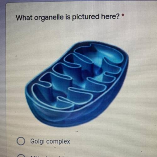 What organelle is pictured here?

Golgi complex
Mitochondria
Nucleus
Endoplasmic Reticulum