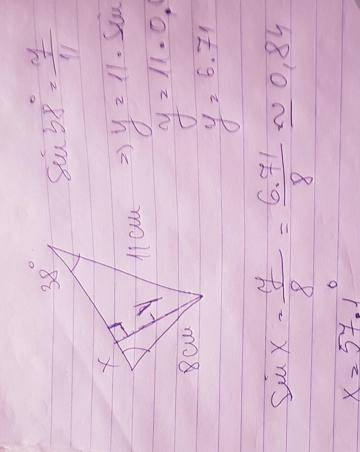Find angle x, giving your answer to 1 decimal place.
38
Х
11 cm
8 cm