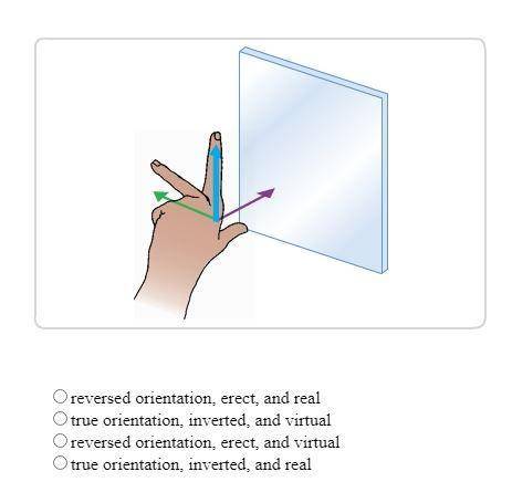 A student places his hand in front of a plane mirror as shown in the diagram. Which terms correctly