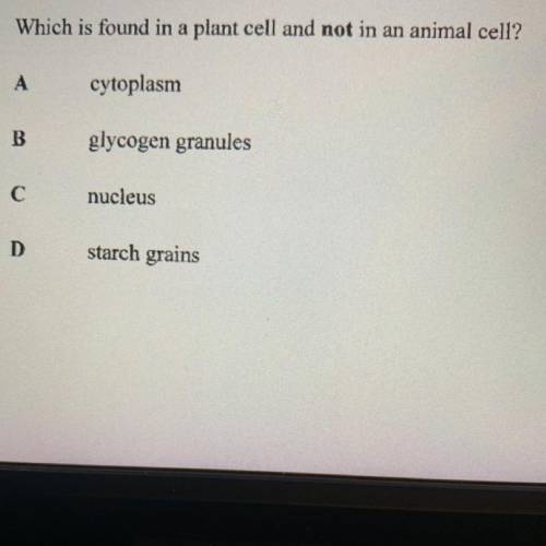 4.

Which is found in a plant cell and not in an animal cell?
A
cytoplasm
В
glycogen granules
с
n
