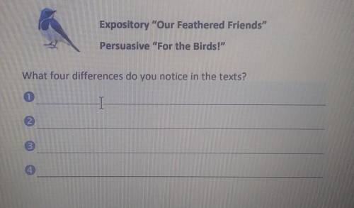 Expository Our Feathered Friends” Persuasive For the Birds!” What four differences do you notice