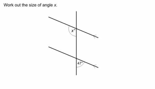 What's the size of angle x