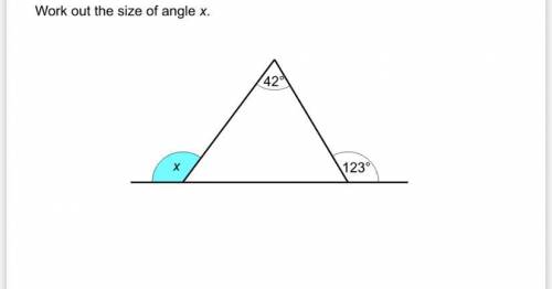 What is the size of Angle x