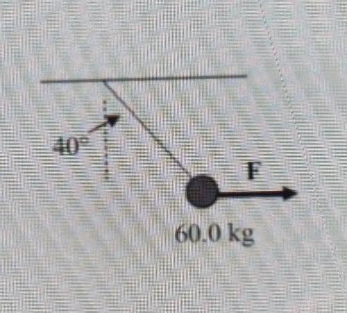 What force F is required to keep the 60.0 kgmass in static equilibrium?​