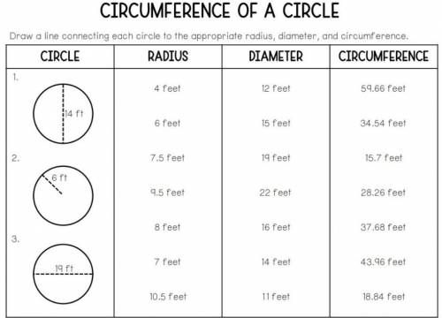 Draw a line connecting each circle to the appropriate radius, diameter, and circumcerences.