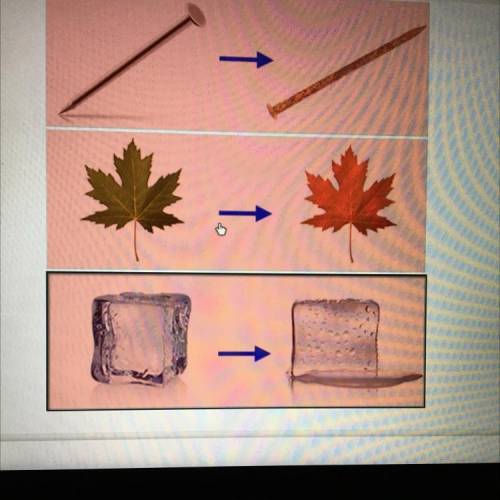 Select the correct image.
Which image represents a physical change?