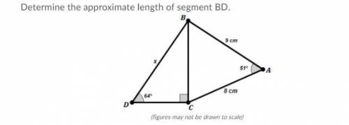 Determine the approximate length of segment BD.

A) 8.2 cm
B) 9.2 cm
C) 7.6 cm
D) 10.0 cm