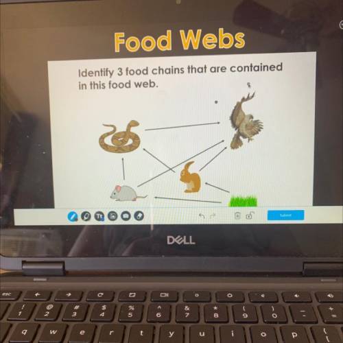 Rood weos
Identify 3 food chains that are contained
in this food web.