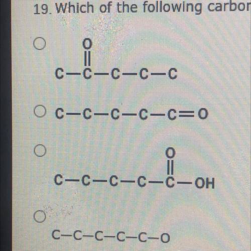 19. Which of the following carbon skeletons represents a carboxylic acid?