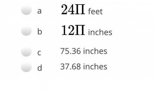 Find the EXACT circumference of a circle with the radius of 12 feet.