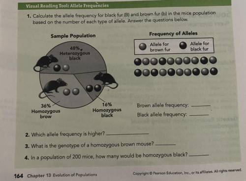 Lol i need help with 13.1 Evolution of Populations asap please!! thank you!