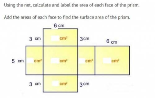 THIS STUFF MAKES YOU SMART JJJ

using the net calculate and label the area of each face of the pri
