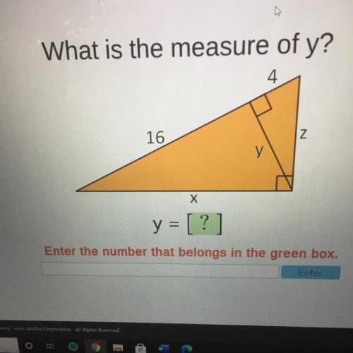 What is the measure of y?

y = [?]
Enter the number that belongs in the green box.
Enter