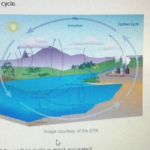 This diagram below shows the carbon cycle

Which of the following descriptions of the carbon cycle