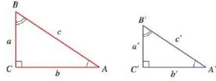I need help

Given two similar triangles, what would you need to know to find an unknown length? Ho