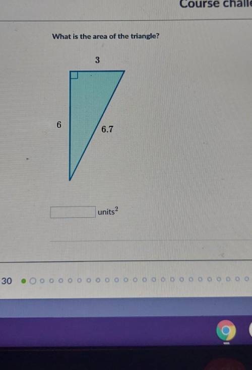 What is the area of the triangle​