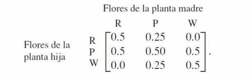 Considere una planta que puede tener flores rojas (R), rosadas (P) o blancas (W), según los genotip