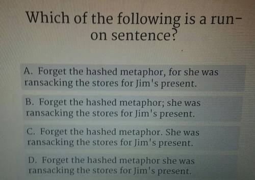 Which of the following is a run on sentence?​