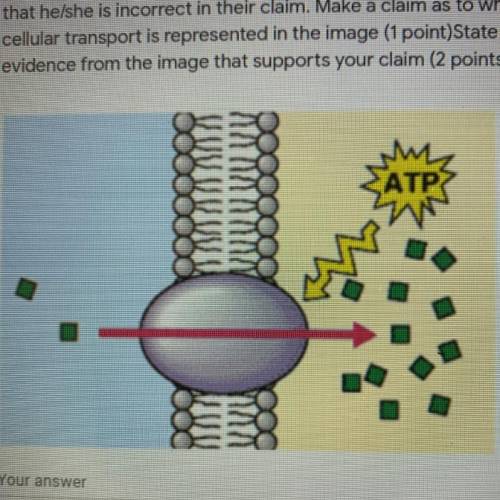 Your friend makes a claim that the image to the right shows facilitated

diffusion. You are an edu