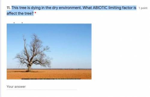 This tree is dying in the dry environment. What ABIOTIC limiting factor is affect the tree? please