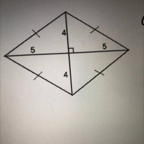 I need to calculate the area of the kite. I don’t know how to solve it.