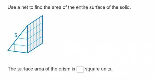 PLEASE HELP

I WILL GIVE BRAINLIEST !!!
Use a net to find the area of the entire surface of the so